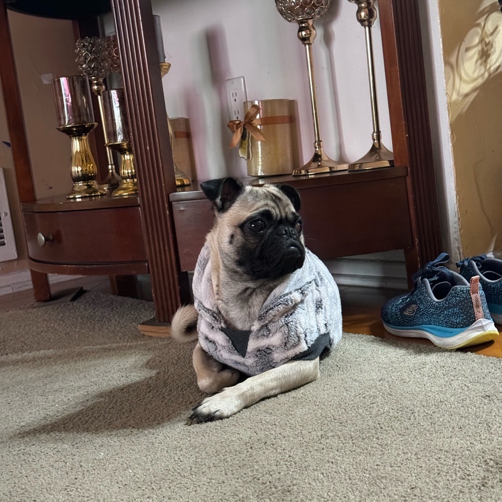 Meet your Posher, Jessy